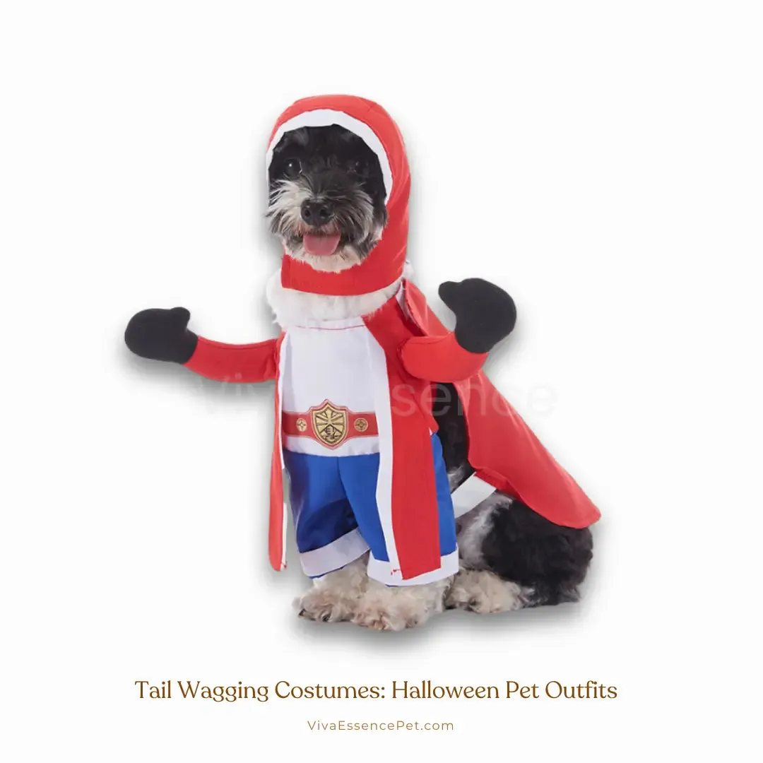 Tail Wagging Costumes: Halloween Pet Outfits