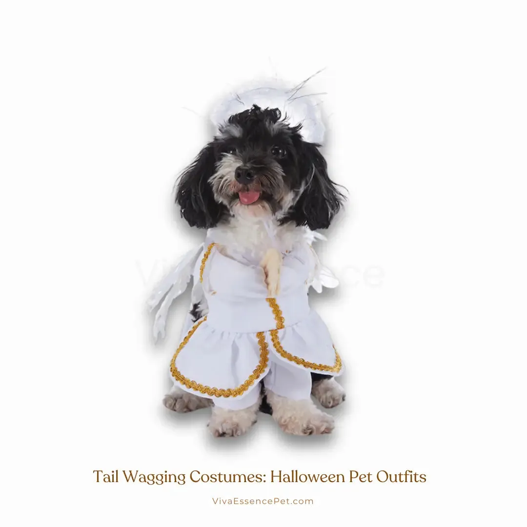 Tail Wagging Costumes: Halloween Pet Outfits