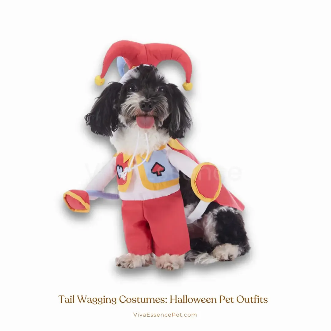 Tail Wagging Costumes: Halloween Pet Outfits
