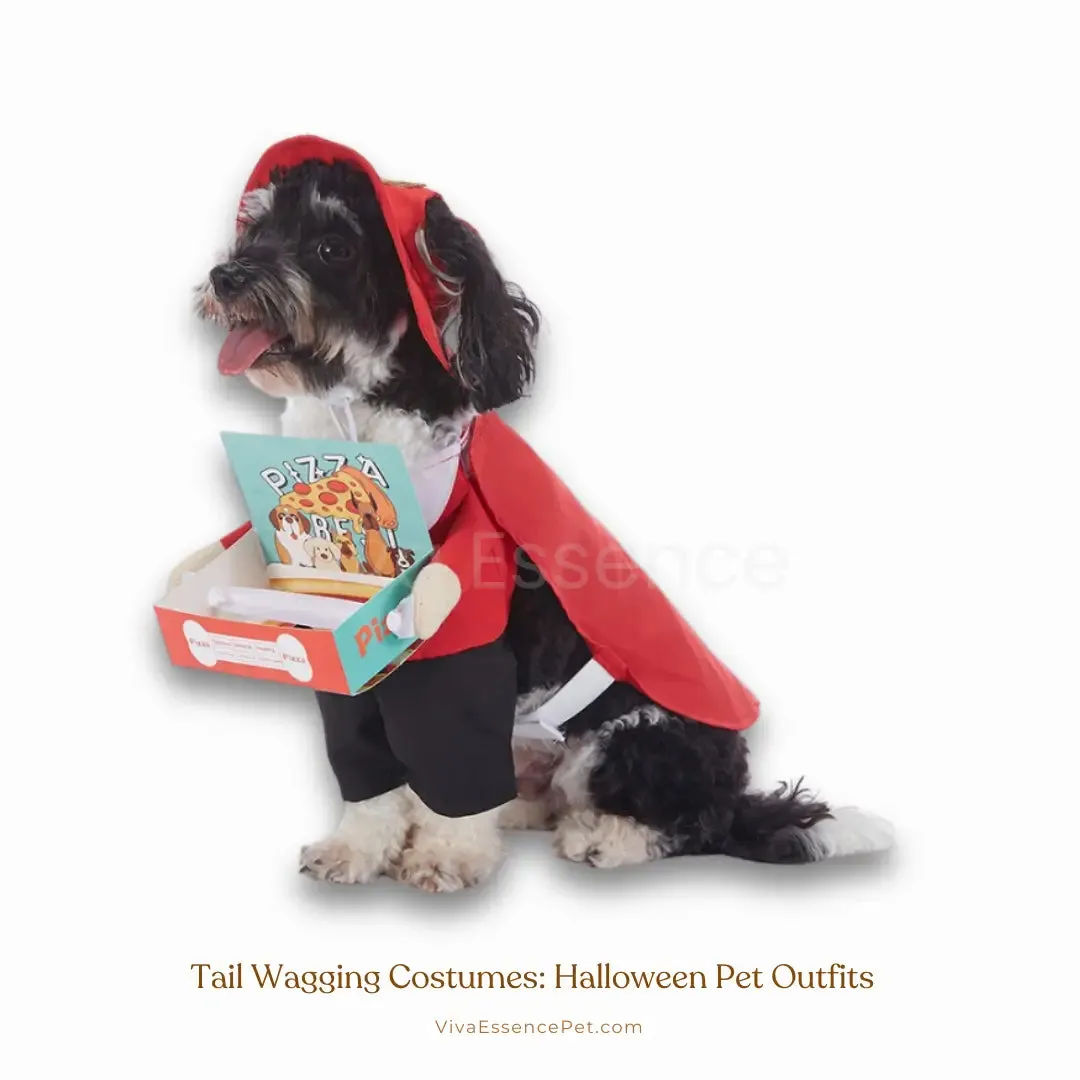 Tail Wagging Costumes: Halloween Pet Outfits