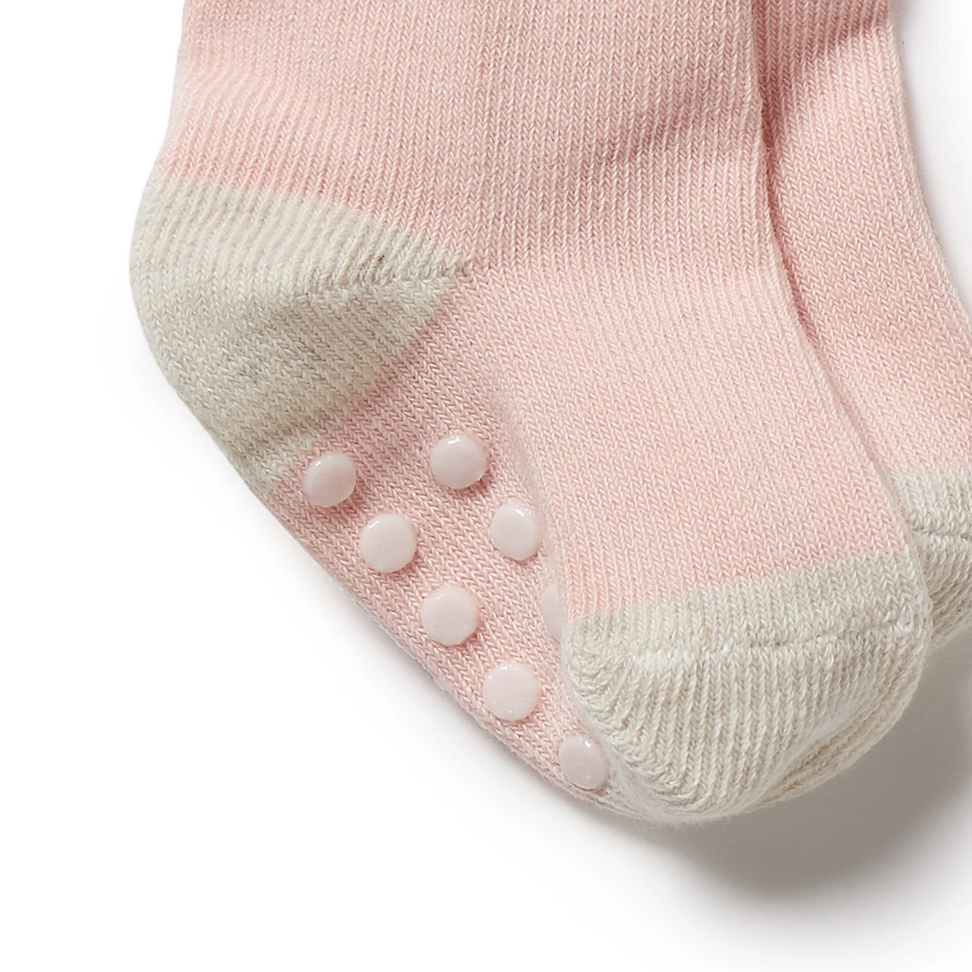 Wilson   Frenchy 3 Pack Baby Socks - Cantaloupe