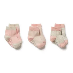 Wilson   Frenchy 3 Pack Baby Socks - Cantaloupe